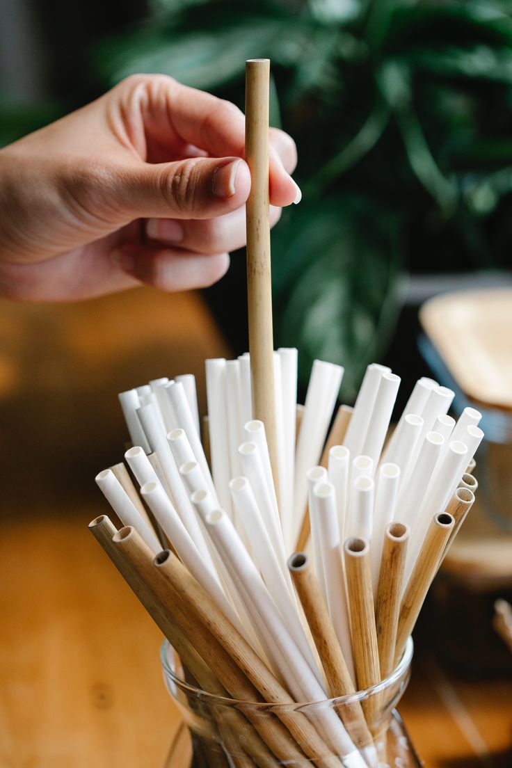 Eco Straws