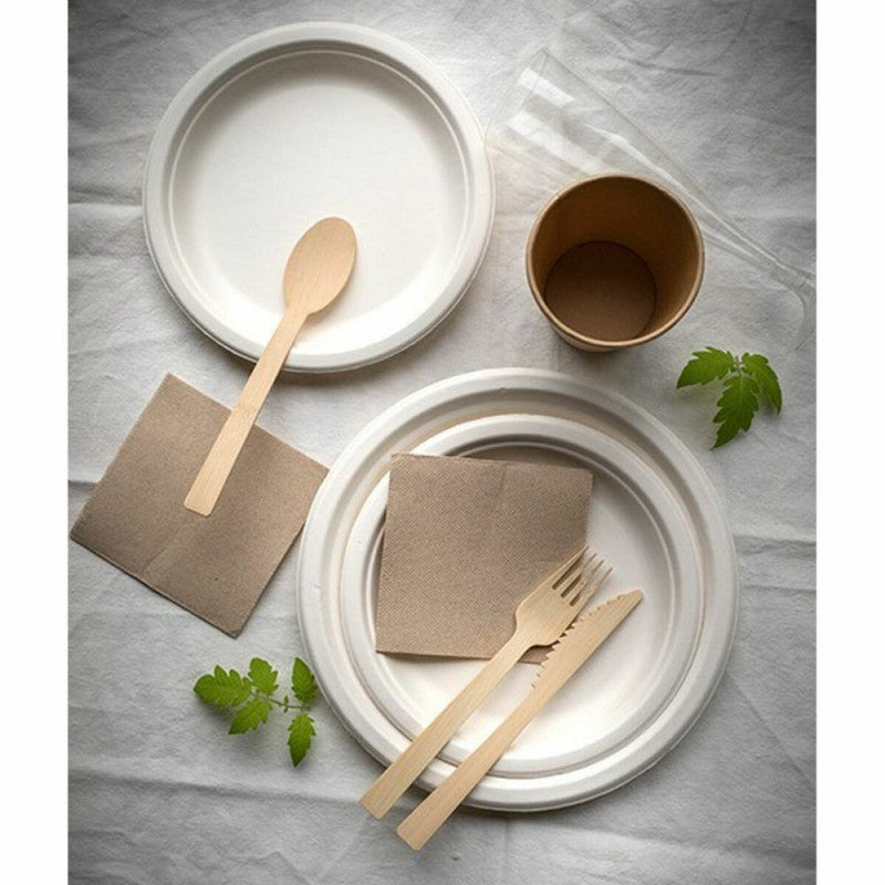 Sugarcane Tableware