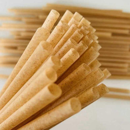 Sugarcane pulp straws